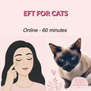 tapping for cats